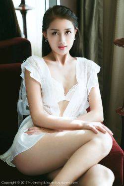 杨门女将外传